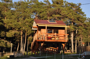 Cabane des Guernazelles